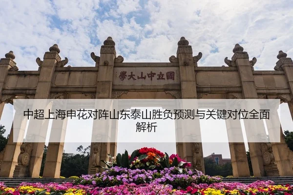 中超上海申花对阵山东泰山胜负预测与关键对位全面解析